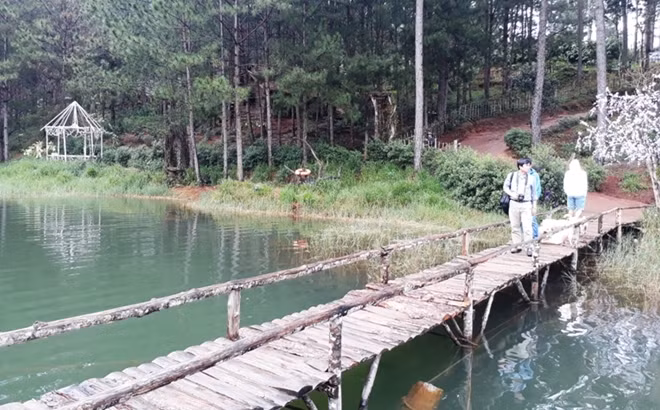 Cây cầu xây dựng không phép.