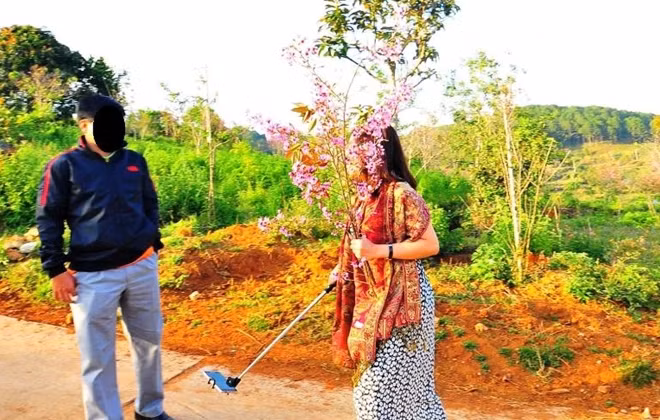 Trước đó bà Phạm Thị Minh Hiếu "cầm" cành hoa mai anh đào gây giận dữ