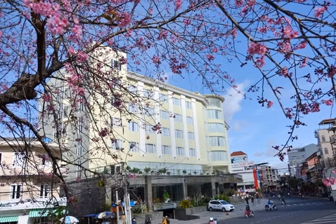 Họ cũng như tôi, yêu gió lạnh và quanh năm hơi sương, yêu nắng vàng với những cơn mưa chuyển mùa rả rích, yêu màu xanh mướt của ngàn thông vi vu và những cánh đồng hoa ngào ngạt hương sắc, yêu luôn cả con đường vừa đi đã mỏi, yêu cuối phố bình yên, dịu vợi…