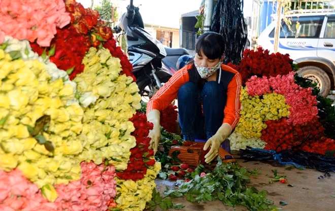 Khan hiếm hàng là nguyên nhân khiến giá hoa tăng mạnh