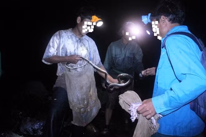 Nhưng, để lo cho các thành viên trong gia đình, buộc anh phải chọn cái ác và tội lỗi với những con thú rừng.