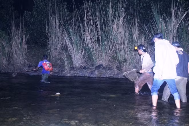 Trăng đêm ló qua đám cây rừng ban phát sự bình yên giữa chốn đất này. Nhưng, với những con thú dọc hai bên bờ suối, vỏ bọc bình yên đêm nay là sự hãi hùng tột cùng.