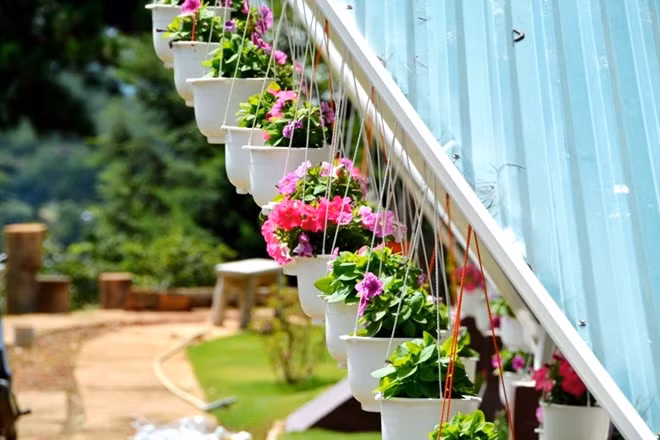 Cạnh Suối Hoa còn có Suối Mơ lấy cảm hứng từ nhạc phẩm Suối Mơ của cố nhạc sĩ Văn Cao “Suối Mơ bên rừng thu vắng, dòng nước trôi lững lờ ngoài nắng…”...
