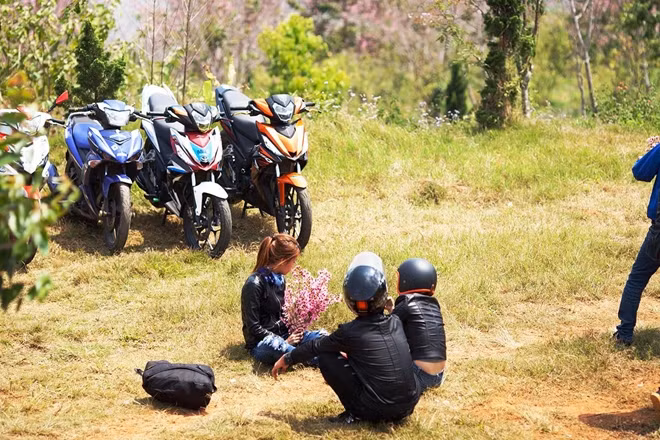 Các "phượt thủ" hồ nhiên bẻ hoa