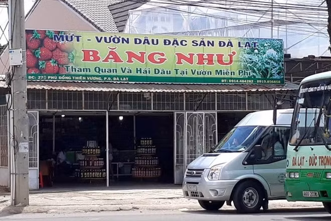 Cơ sở “đặc sản Đà Lạt” Băng Như