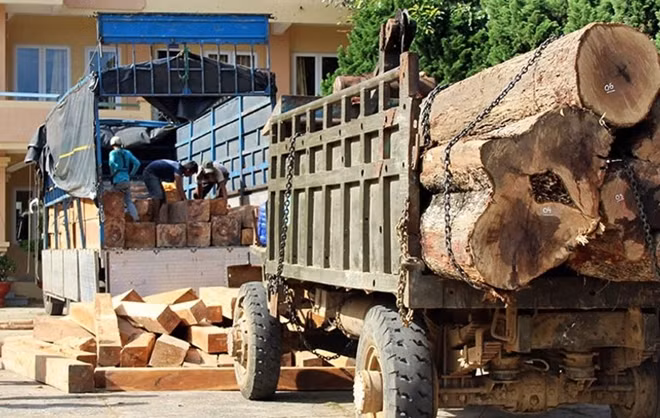 Số gỗ mà Công an huyện Đức Trọng bắt giữ
