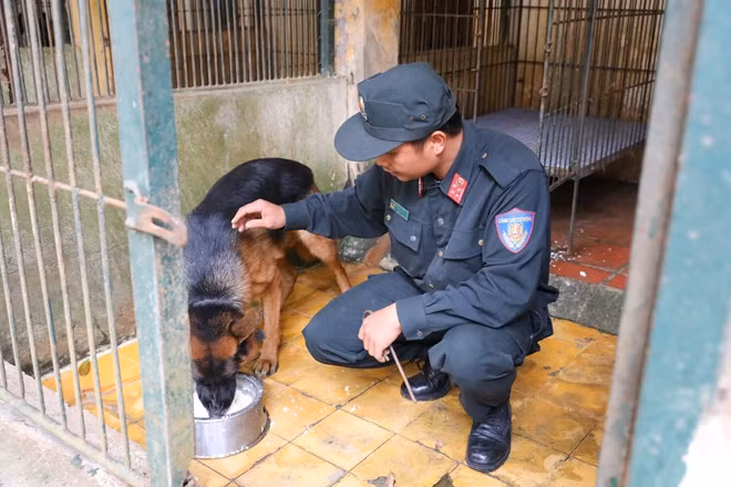 Một cán bộ huấn luyện chăm sóc chú chó của mình. Thức ăn chính của chó nghiệp vụ là cháo, thịt, rau; chó nghiệp vụ cũng được khám sức khoẻ định kỳ nhằm đảm bảo sức khoẻ phục vụ công tác chiến đấu.