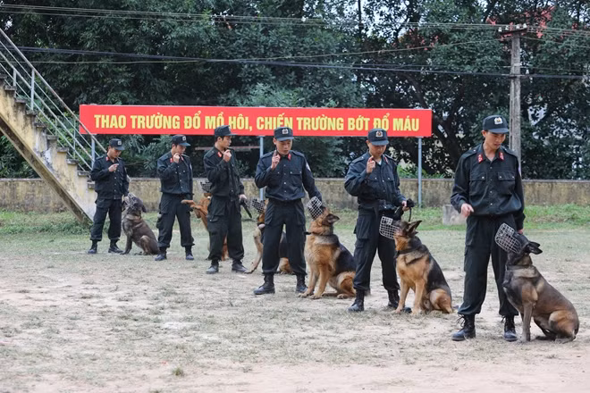 Các huấn luyện viên cùng những chú chó nghiệp vụ tại Trường chó Nghiệp vụ. Việc huấn luyện chó nghiệp vụ đòi hỏi người huấn luyện đầu tiên phải yêu chó như yêu chính bản thân mình, rồi sau đó mới đến các tiêu chuẩn khác.