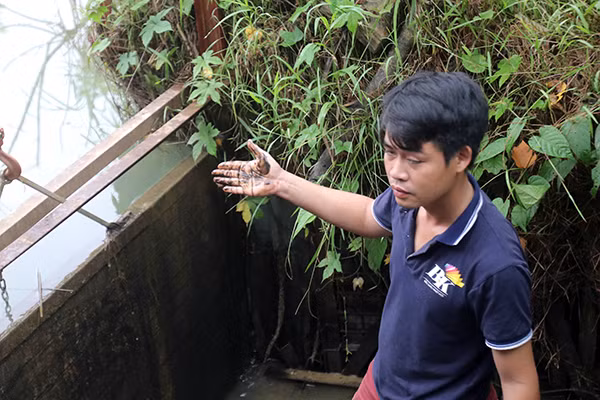 Đứng ngay trong nguồn nước vẫn đang nồng nặc mùi khét, anh Nguyễn Văn Dũng (người dân xóm Văn Lạn, xã Phú Minh) cho biết: "Dù đã vài ngày qua, nhưng nước trong ao cá của gia đình tôi, vốn được lấy từ suối Khại vẫn có mùi khét nồng nặc, không thể chịu nổi. Nguồn nước ô nhiễm khiến ao cá bị chết khoảng 1 tấn, toàn bộ số cá chết phải chôn bỏ hoặc dùng làm phân bón. Cho dù số cá này có được làm sạch thì khi nấu lên vẫn còn nguyên mùi nồng, không thể ăn nổi".