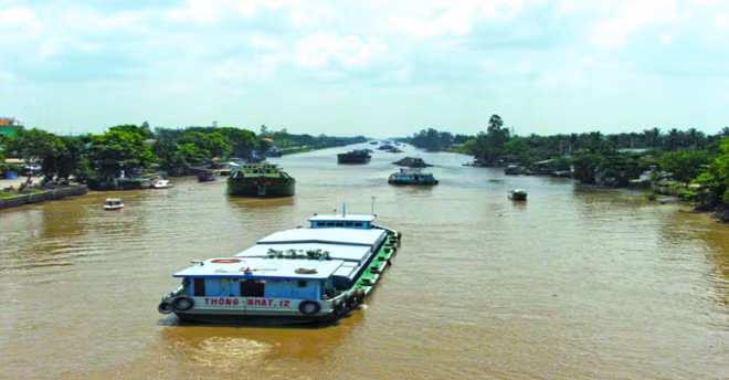 Đa phần các bằng thuuyền trưởng bị thu hồi là ở khu vực phía Nam.
