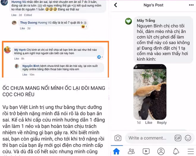 Một “thánh thực dưỡng” đổ lỗi cho bệnh nhân ung thư. Một “thánh thực dưỡng” đổ lỗi cho bệnh nhân ung thư.
