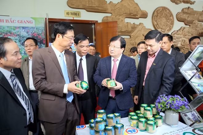 Phó Thủ tướng Trịnh Đình Dũng cùng lãnh đạo Bộ NN&PTNT, tỉnh Quảng Ninh đánh giá cao nhiều sản phẩm đặc trưng, đặc sản của các địa phương trong tỉnh Quảng Ninh và một số địa phương lân cận. Ảnh: VGP/Xuân Tuyến