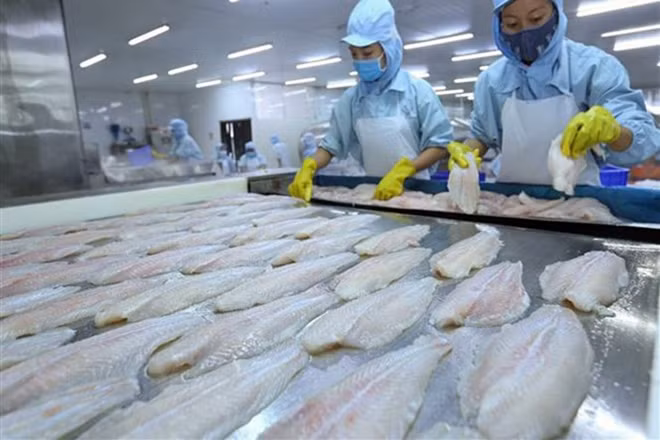 EVFTA sẽ là cú hích rất lớn cho xuất khẩu của Việt Nam đặc biệt là các mặt nông, thủy sản. (Ảnh minh họa: Internet) EVFTA sẽ là cú hích rất lớn cho xuất khẩu của Việt Nam đặc biệt là các mặt nông, thủy sản. (Ảnh minh họa: Internet)