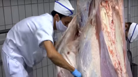 Úc kiểm soát rất chặt việc giết mổ bò tại các quốc gia nhập khẩu bò sống.