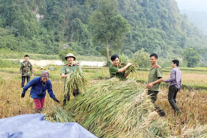 Tổ công tác Công an tỉnh Bắc Kạn giúp bà con thôn Đồng Luông thu hoạch lúa.