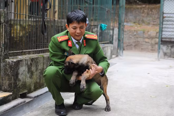 Trung tá Đàn có hơn 20 năm gắn bó với công tác huấn luyện những chú Cảnh khuyển.