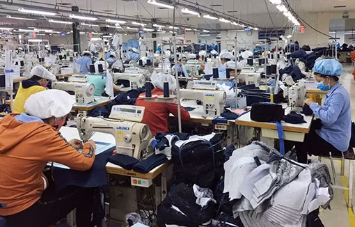 Vốn FDI sẽ tìm kiếm các nền kinh tế tuân thủ nguyên tắc ESG ảnh 2