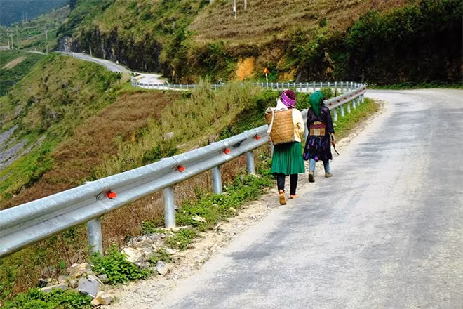 Những người dân bản địa trên đường đi hái hoa cải.
