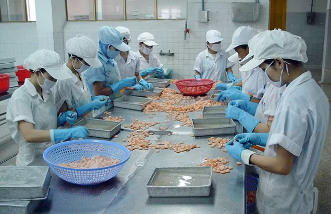 Công nhân rất cần có thời gian tái tạo sức lao động và chăm sóc con cái. Công nhân rất cần có thời gian tái tạo sức lao động và chăm sóc con cái.