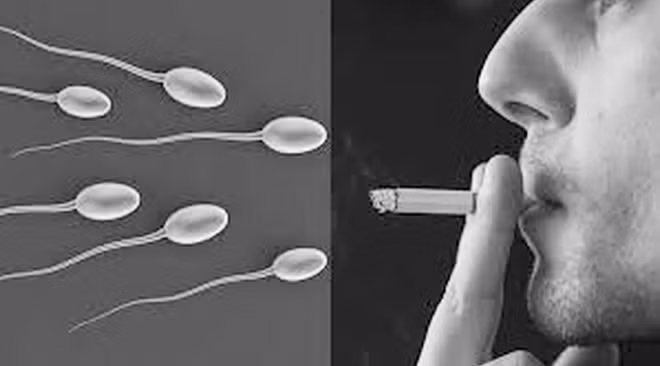 Hút thuốc lá – thủ phạm gây giảm chức năng sinh sản.