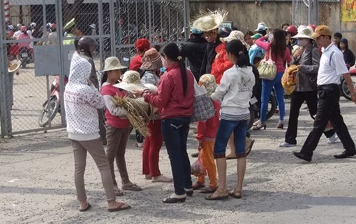 Ngán ngẩm nạn “chặt chém” du khách