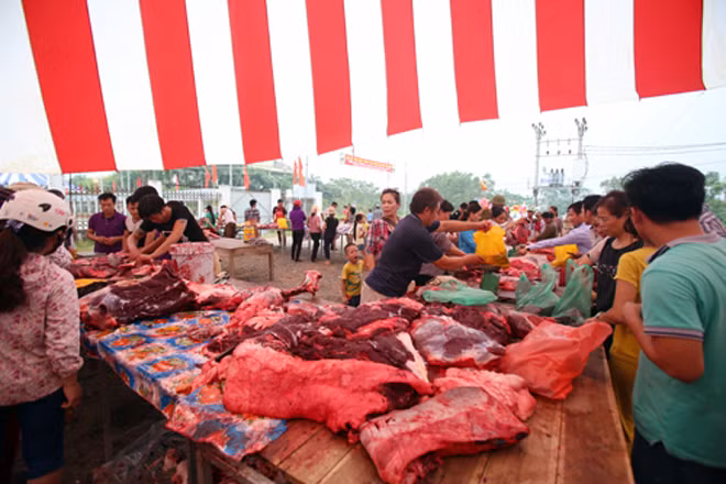 Trong khi các trâu chọi đang thi đấu trong sân vận động huyện Phúc Thọ, ngoài cổng đã có hàng chục phản thịt trâu được bày bán. Trong khi các trâu chọi đang thi đấu trong sân vận động huyện Phúc Thọ, ngoài cổng đã có hàng chục phản thịt trâu được bày bán.
