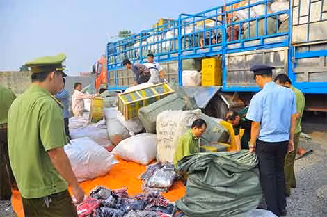 Tình trạng sản xuất hàng giả, vi phạm quyền sở hữu trí tuệ đang có chiều hướng gia tăng. Tình trạng sản xuất hàng giả, vi phạm quyền sở hữu trí tuệ đang có chiều hướng gia tăng.