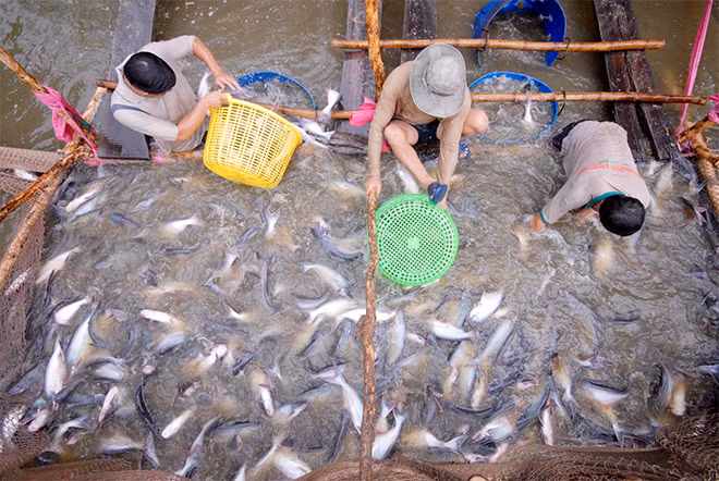 Thị trường Trung Quốc trước nay vẫn tiềm ẩn nhiều rủi ro.