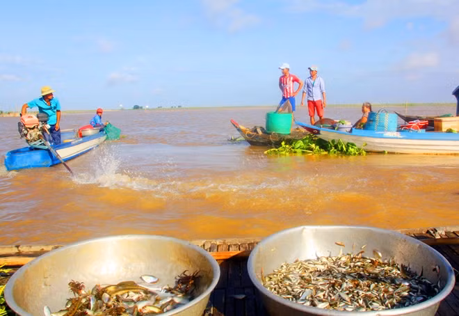 Người dân sinh sống bên dòng Mê Kông đang đứng trước những khó khăn do biến đổi của hệ sinh thái.