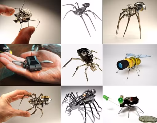 Điệp viên siêu nhỏ của Lầu Năm Góc