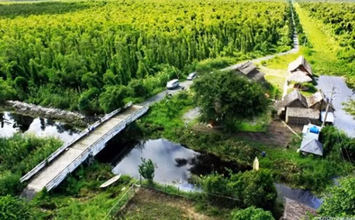 Huyện đầu tiên ở vùng căn cứ cách mạng U Minh đạt chuẩn Nông thôn mới ảnh 2