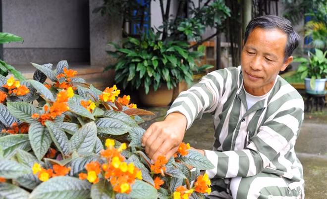 Sau 20 năm chạy trốn, giờ đây với Ma Seo Chứ những ngày thụ án ở Trại giam Tân Lập là những ngày tháng bình yên.