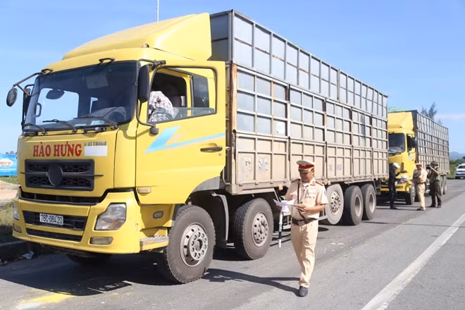 Cán bộ Trạm CSGT Đức Phổ kiểm tra phương tiện vi phạm dưới thời tiết trên 40 độ.