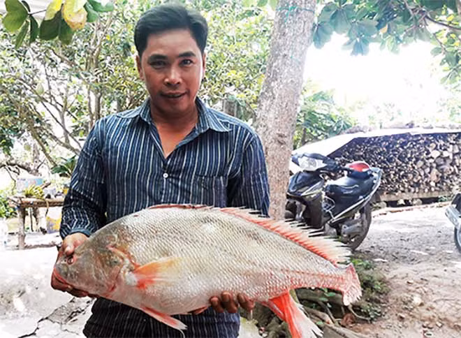 Anh Công mừng rỡ khi lần đầu tiên bắt được cá sủ vàng. Ảnh: Cửu Long.