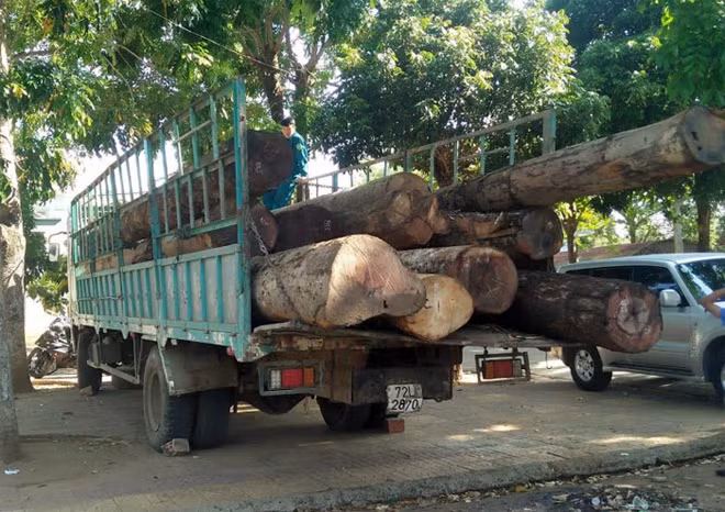 Tang vật và phương tiện vi phạm bị cơ quan chức năng phát hiện, lập biên bản.