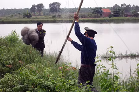Lực lượng chức năng Quảng Ninh thu giữ dụng cụ săn bắt chim trái phép.