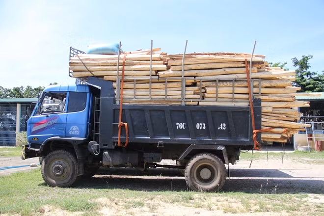 Một trường hợp xe chở gỗ quá tải bị lực lượng chức năng tỉnh Quảng Ngãi xử phạt.