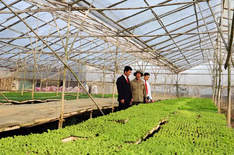 Agribank đi đầu triển khai cho vay thí điểm chuỗi liên kết và ứng dụng nông nghiệp công nghệ cao.