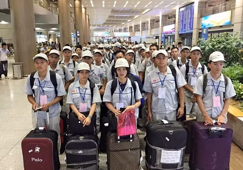 Hơn 65.000 lao động ra nước ngoài làm việc
