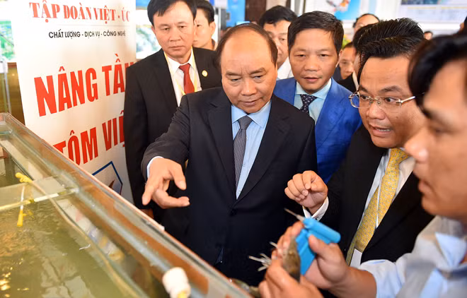 Thủ tướng tham quan nơi sản xuất tôm giống của Tập đoàn Việt-Úc. Ảnh: VGP/quang Hiếu Thủ tướng tham quan nơi sản xuất tôm giống của Tập đoàn Việt-Úc. Ảnh: VGP/quang Hiếu