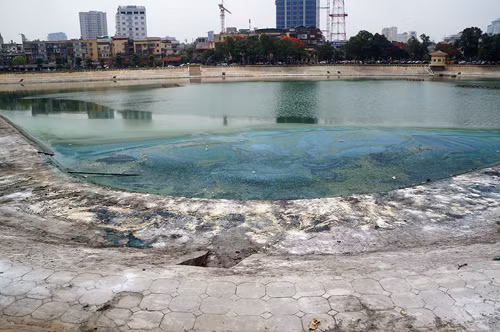 Người dân ven hồ Ngọc Khánh khốn khổ bởi mùi xú uế nồng nặc bốc lên từ hồ sau khi được cải tạo!