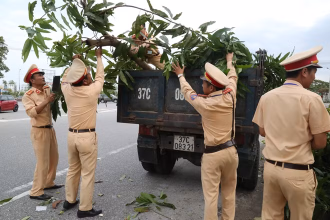 CSGT Công An Tp. Vinh chặt cây gãy đổ, giải phóng giao thông trên các tuyến đường