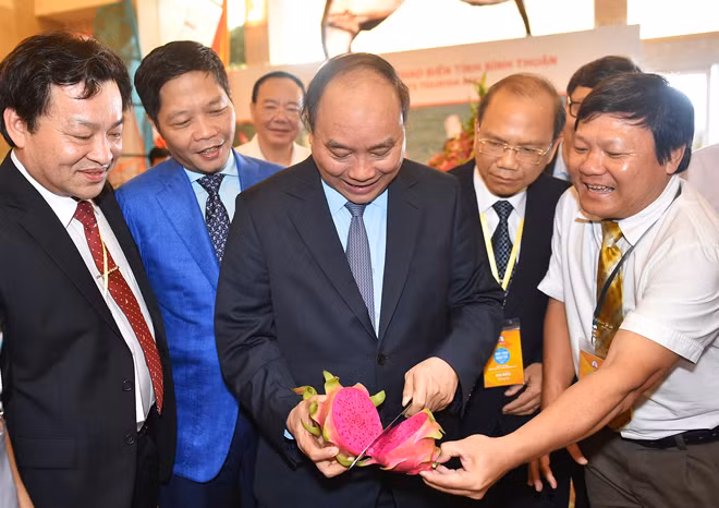 Thủ tướng với trái thanh long đỏ - biểu tượng trái cây Bình Thuận. Ảnh: VGP/Quang Hiếu Thủ tướng với trái thanh long đỏ - biểu tượng trái cây Bình Thuận. Ảnh: VGP/Quang Hiếu