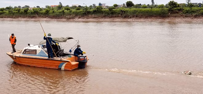 Lợn chết vứt bỏ trên nhiều con sông tại Hải Phòng khiến lực lượng chức năng phải vất vả thu gom.