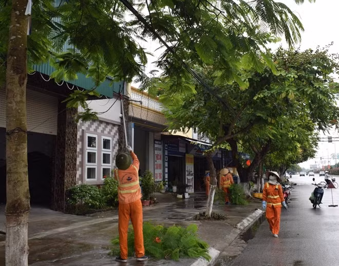 Lực lượng chức năng quận Đồ Sơn (Hải Phòng) cắt tỉa cây xanh trước khi bão về.