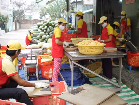 Doanh nghiệp vừa và nhỏ cần sự cạnh tranh công bằng để phát triển bền vững. Ảnh minh hoạ.