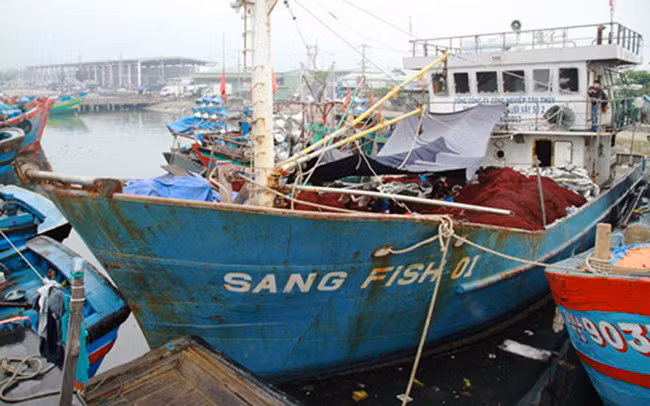 Tàu biển cũ khiến nhiều chủ tàu mất đi cơ hội ngay trên sân nhà.