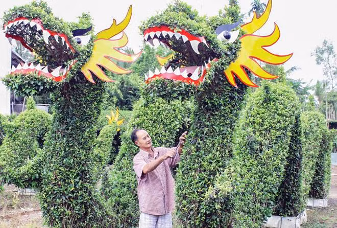 Người dân miền Tây đang tất bật chuẩn bị vào mùa hoa Tết.
