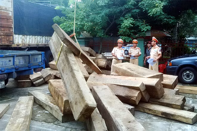 Nhiều vụ vận chuyển lâm sản trái phép với số lượng lớn được CSGT Công an tỉnh Thừa Thiên-Huế phát hiện, xử lý.