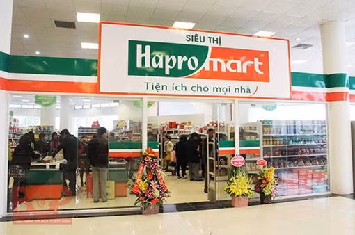 Hapro tập trung đẩy mạnh hoạt động xuất nhập khẩu mũi nhọn sau đại dịch ảnh 6